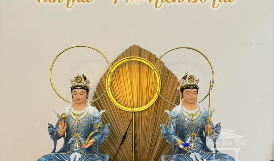 SỰ KẾT HỢP CỦA NGÀI VĂN THÙ - PHỔ HIỀN BỒ TÁT CÓ Ý NGHĨA GÌ?